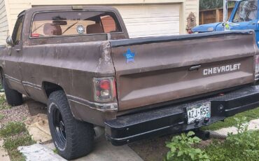 Chevy-c20-1981-brown-10