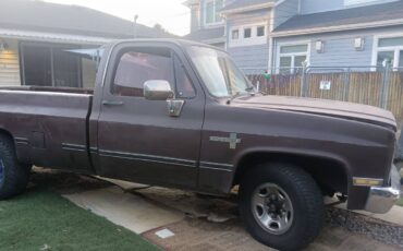 Chevy-c20-1981-brown-3