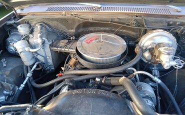 Chevy-c20-1981-brown-4
