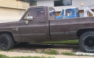 Chevy-c20-1981-brown-5