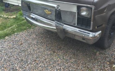 Chevy-c20-1981-brown-6