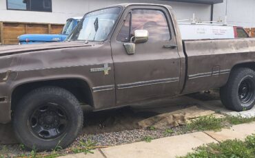 Chevy-c20-1981-brown-7