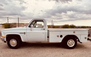 Chevy-c20-1983-white-4