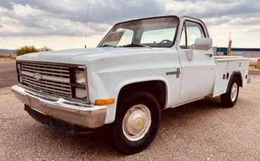 Chevy-c20-1983-white-5