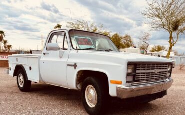 Chevy-c20-1983-white-8