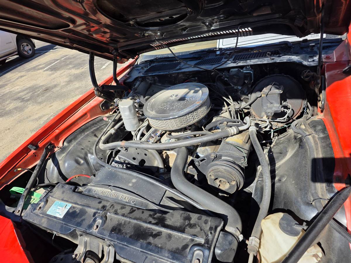 Chevy-camaro-z28-1980-17