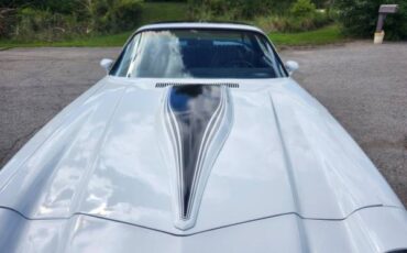 Chevy-camaro-z28-1980-8