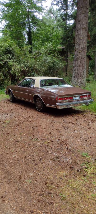Chevy-caprice-classic-1979-brown-1