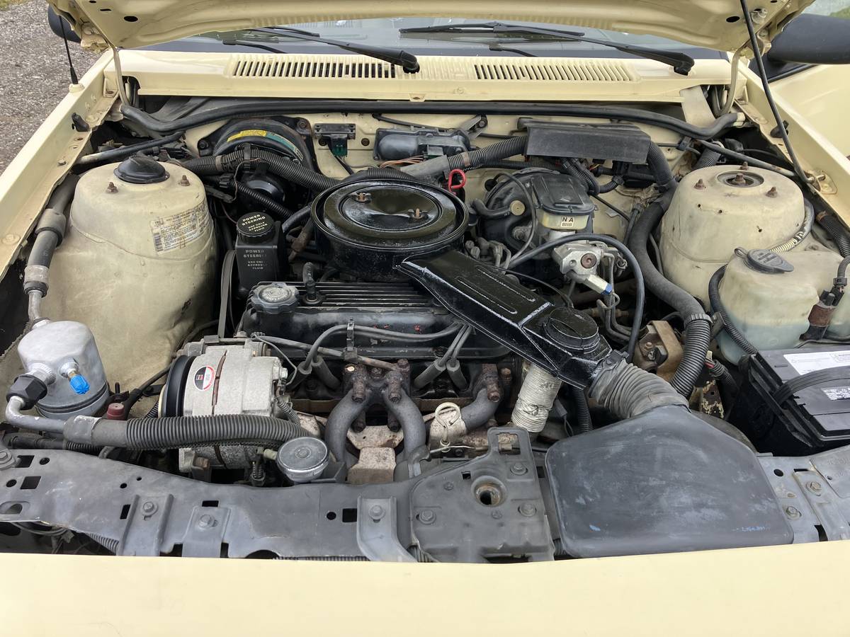 Chevy-cavalier-1986-1