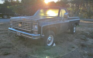 Chevy-cheyenne-1975-2