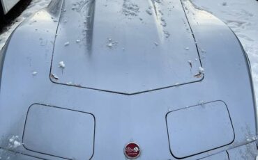 Chevy-corvette-1975-silver-1