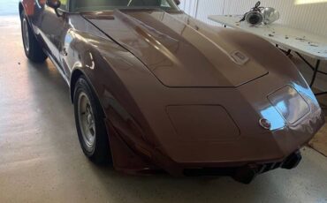 Chevy-corvette-1976-brown-2