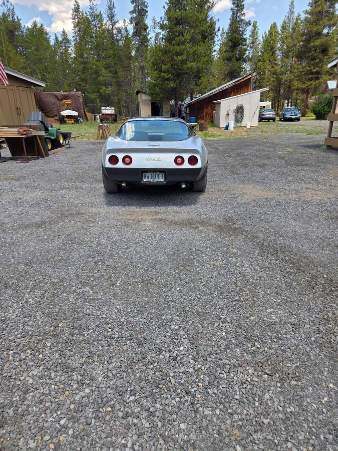 Chevy-corvette-1981-silver-1