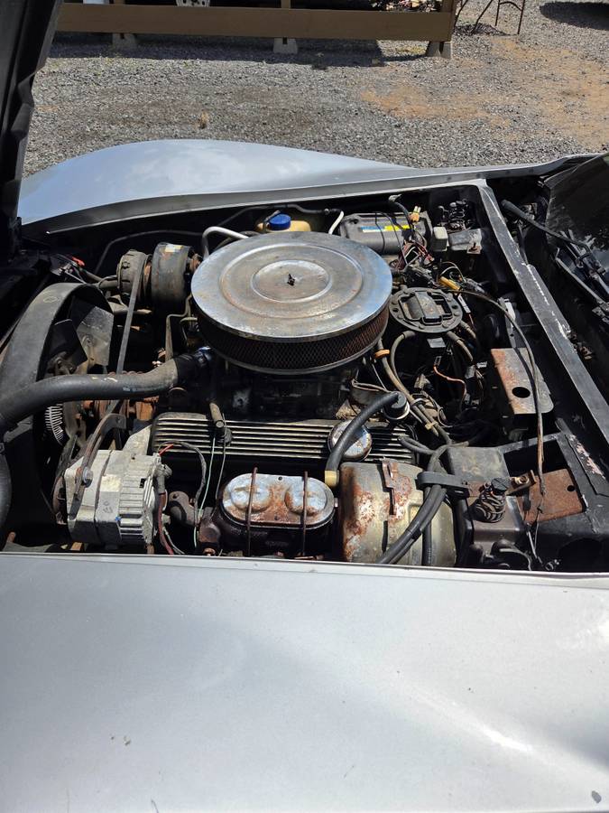 Chevy-corvette-1981-silver-2