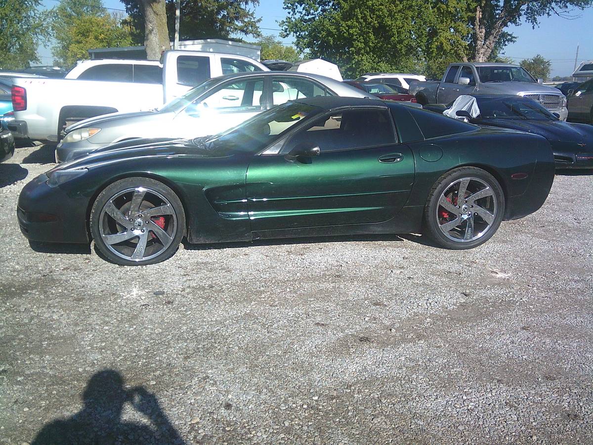 Chevy-corvette-52k-1991-blue-13