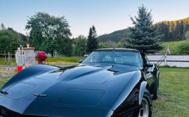 Chevy-corvette-convertible-1981-3