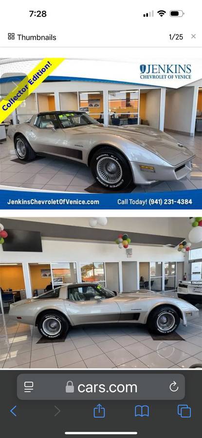 Chevy-corvette-stingray-coupe-1982-silver-2