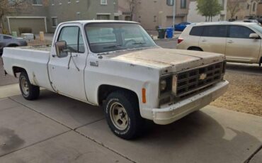 Chevy-custom-deluxe-1978-white-10