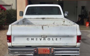 Chevy-custom-deluxe-1978-white-3