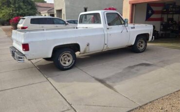 Chevy-custom-deluxe-1978-white-5