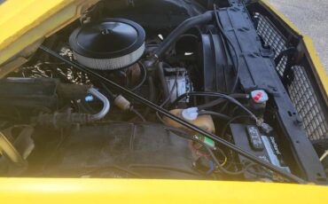 Chevy-el-camino-1973-yellow-11