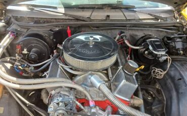 Chevy-el-camino-1981-5