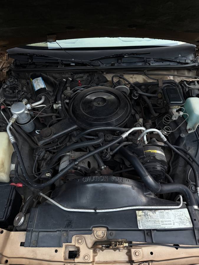 Chevy-el-camino-1987-brown-15