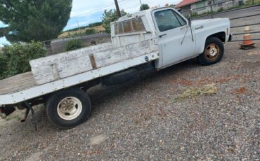 Chevy-flatbed-1974-white-1