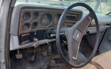 Chevy-flatbed-1974-white-3