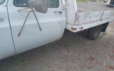 Chevy-flatbed-1974-white-5