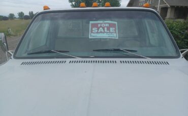 Chevy-flatbed-1974-white-7