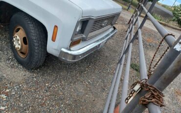 Chevy-flatbed-1974-white-8