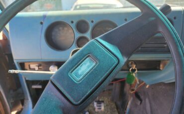 Chevy-g10-1978-7