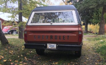 Chevy-k10-1970-brown-2