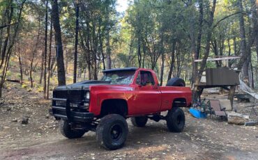 Chevy-k10-4x4-1976-10