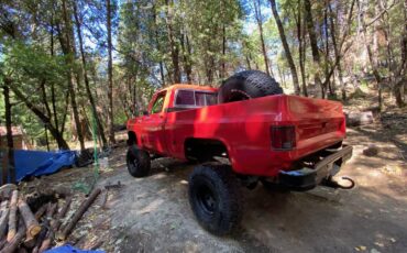 Chevy-k10-4x4-1976-6