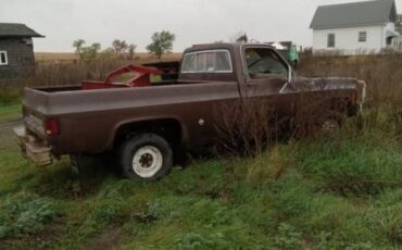 Chevy-k10-4x4-1977-brown-1