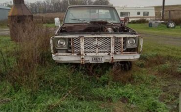 Chevy-k10-4x4-1977-brown-2
