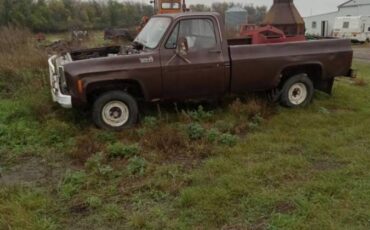 Chevy-k10-4x4-1977-brown