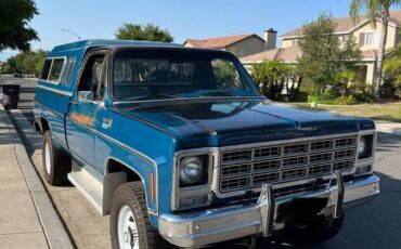 Chevy-k10-4x4-1979-blue-5