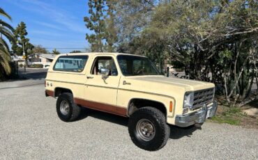 Chevy-k5-blazer-1977-brown-13