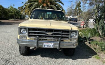 Chevy-k5-blazer-1977-brown-3
