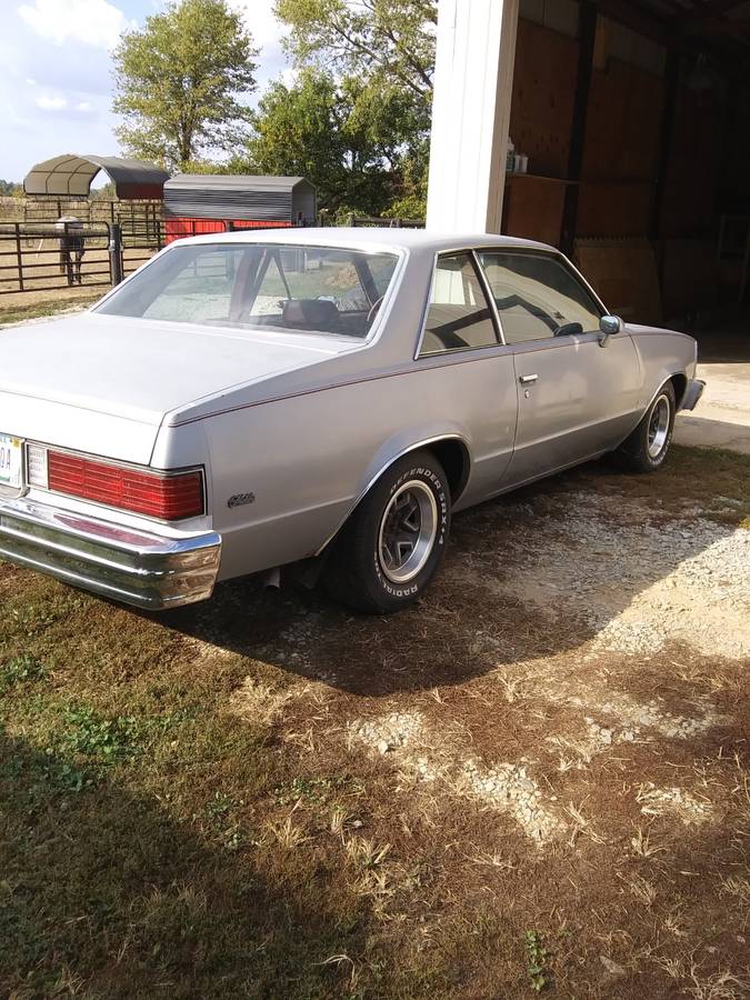 Chevy-malibu-1981-grey-3