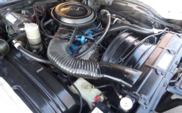 Chevy-monte-carlo-1977-4