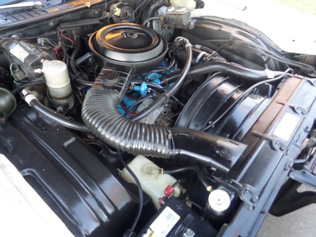 Chevy-monte-carlo-1977-4