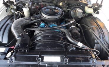 Chevy-monte-carlo-1977-5