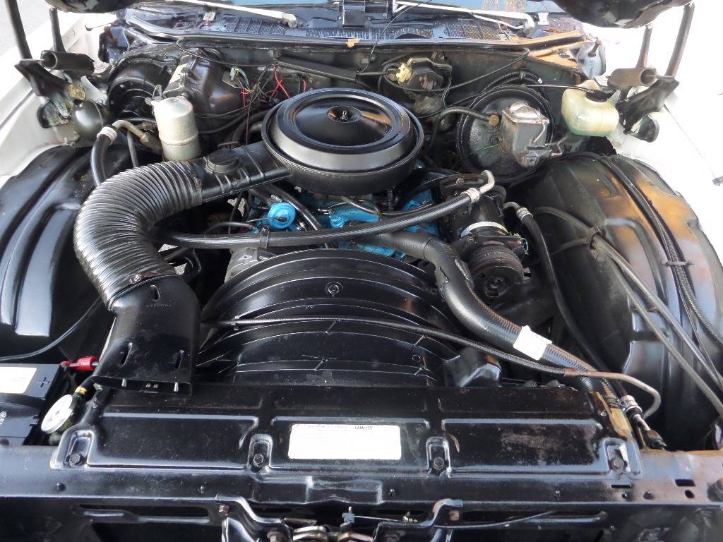 Chevy-monte-carlo-1977-5