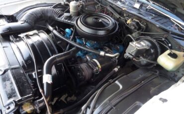 Chevy-monte-carlo-1977-6