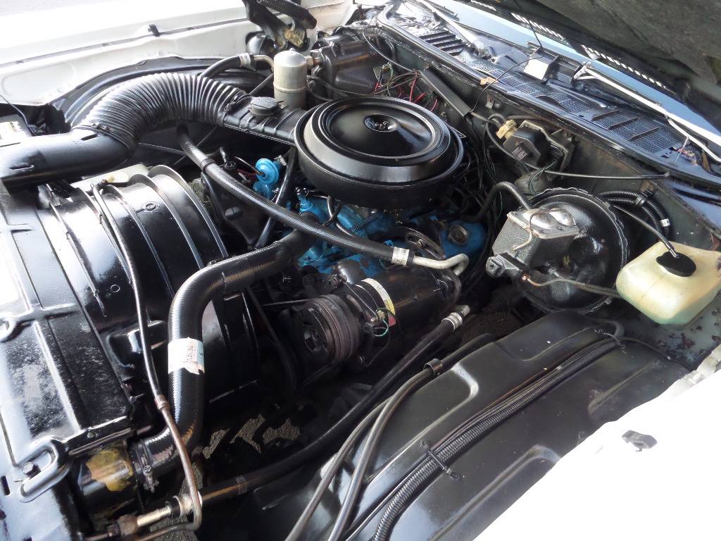 Chevy-monte-carlo-1977-6