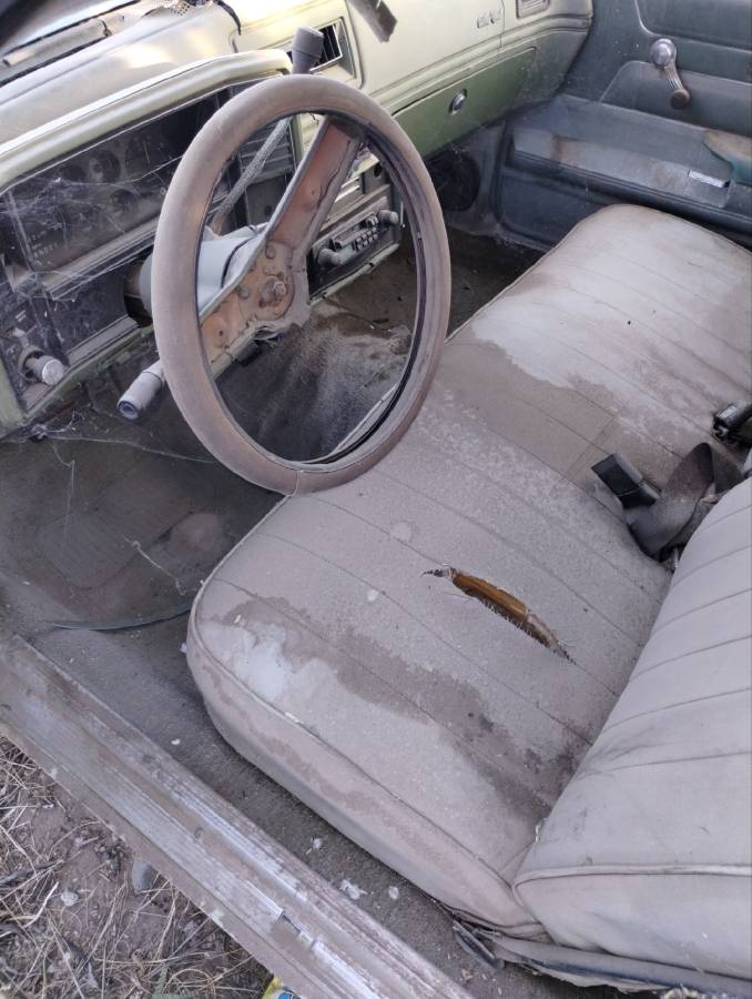 Chevy-monte-carlo-1979-white-8